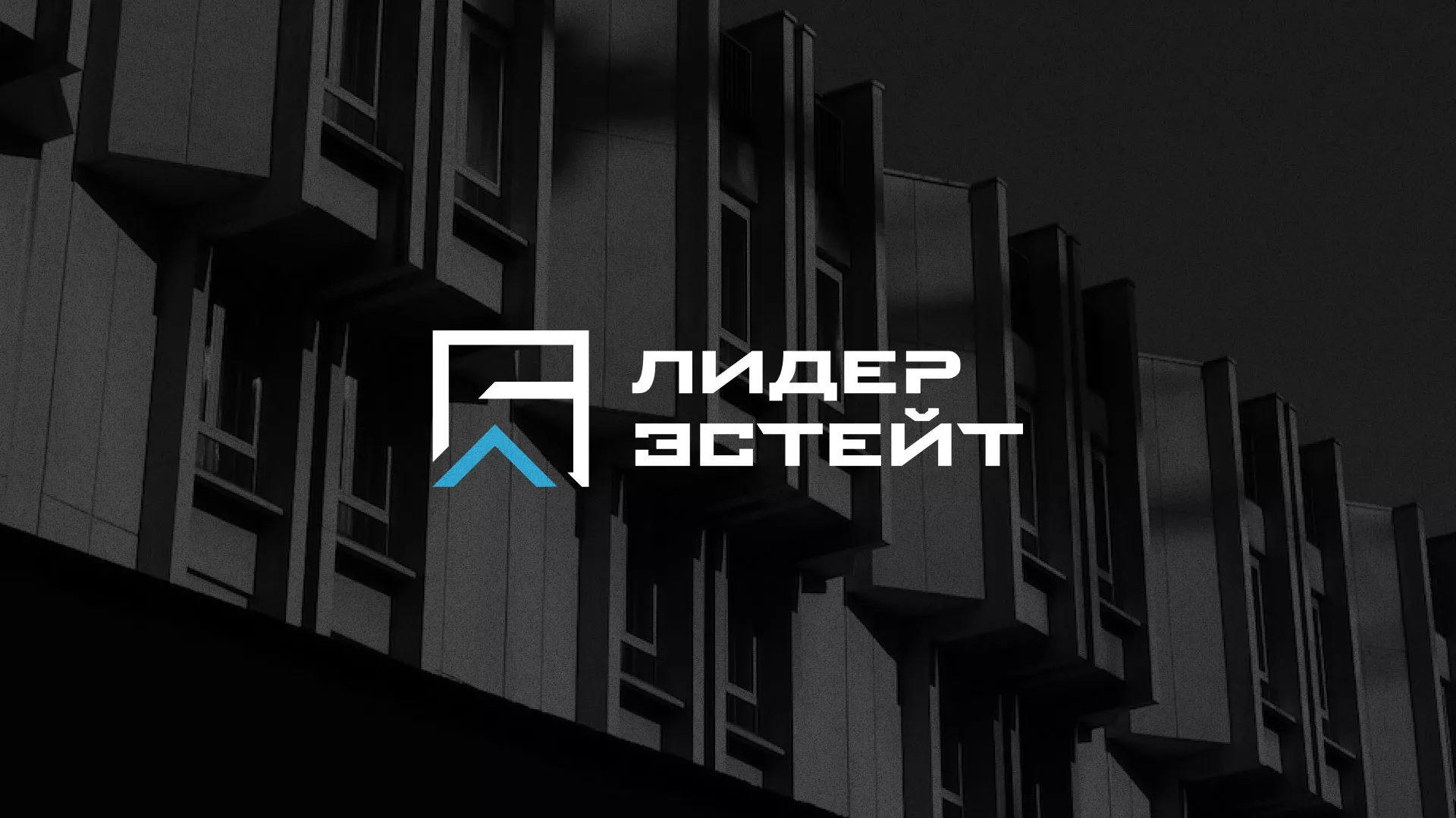 Разработка логотипа агентства недвижимости «Лидер Эстейт» в Юрюзани